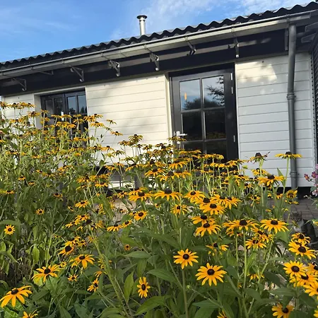 Weistraat, Heerlijke Vakantiewoning! Prachtig Gelegen In De Betuwe In Het Dorpje Tricht, Op Loopafstand De Linge Apartment